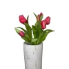 Pink Tulip Bundle