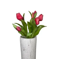 Pink Tulip Bundle