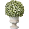 Potted Sage Ball Urn Arrangement, 11"