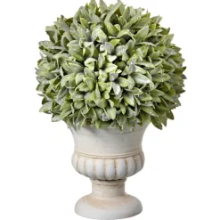 Potted Sage Ball Urn Arrangement, 11"
