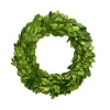 Preserved Boxwood Candle Ring, 8"