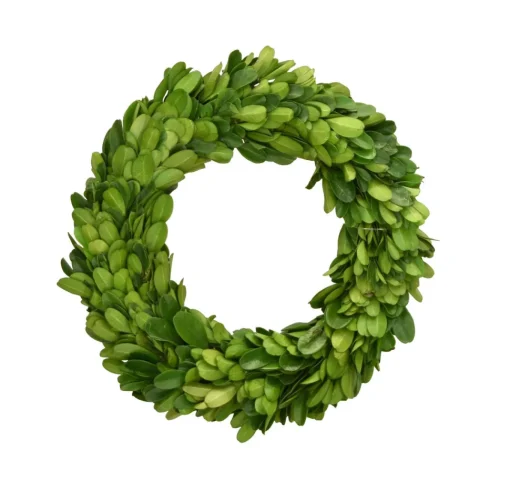 Preserved Boxwood Candle Ring, 8"