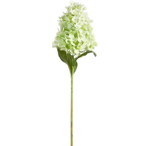 Real Touch Green Hydrangea Stem
