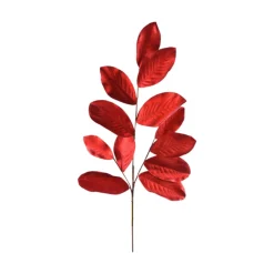 Red Magnolia Leaf Stem