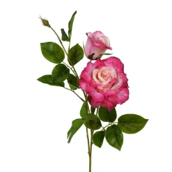 Rose Spray, Pink