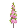 Rose Topiary