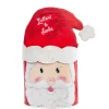 Santa's Letter Box