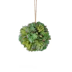 Small Gray and Green Succulent Orb