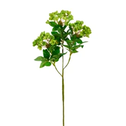 Spring Green Bloom Stem