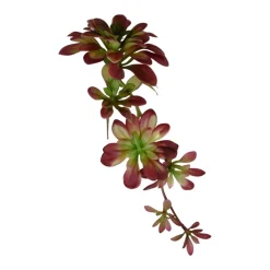 Succulent Hanging Pick