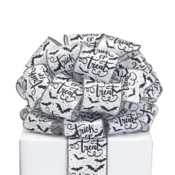 Trick or Treat Ribbon, 2.5" X 20YD