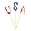 Triple USA Stake