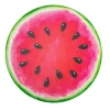Watermelon Magnet