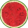 Watermelon Placemat Set