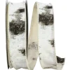 White Birch Trees Bark Forest Ribbon, 1.5" X 10YD