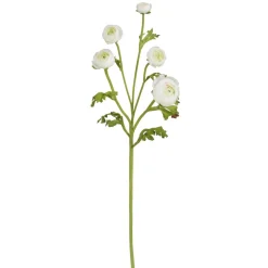 White Ranunculus Spray, 21"