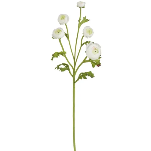 White Ranunculus Spray, 21"