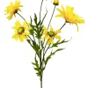 Yellow Daisy Bush